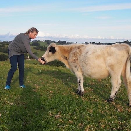 Byron Bay Farm Cottages Eksteriør billede